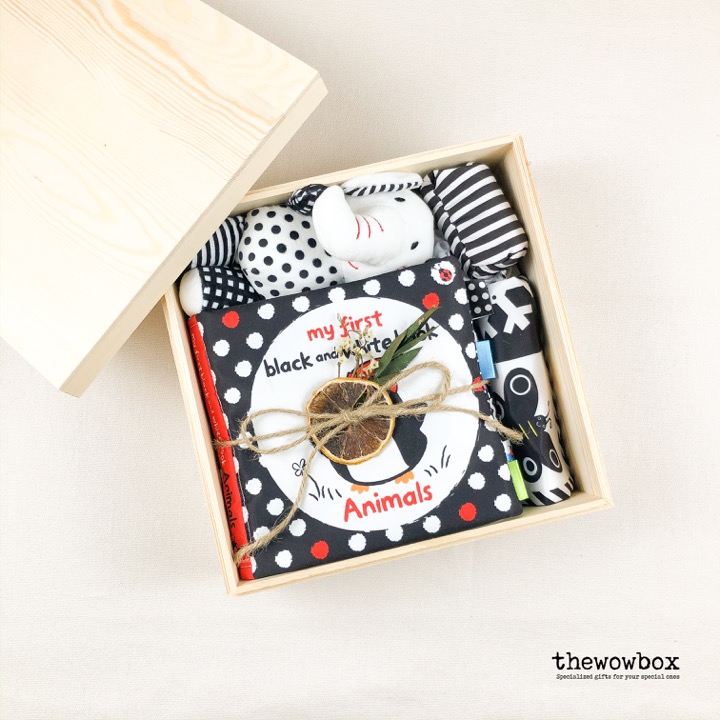 [Quà tặng bé] THE READING BOX – Bộ sách vải, tranh vải và voi bông